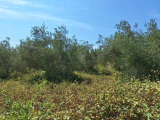 Plot - Grekodom 60620|900963