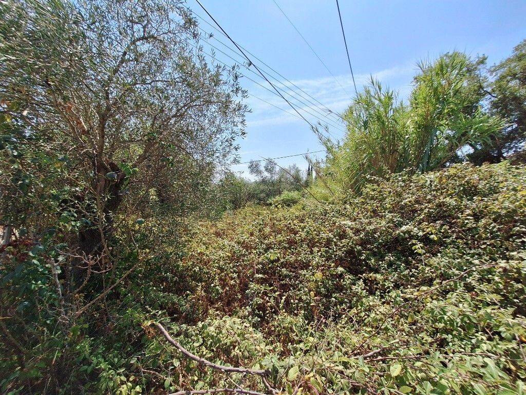 Plot - Grekodom 60620|900956