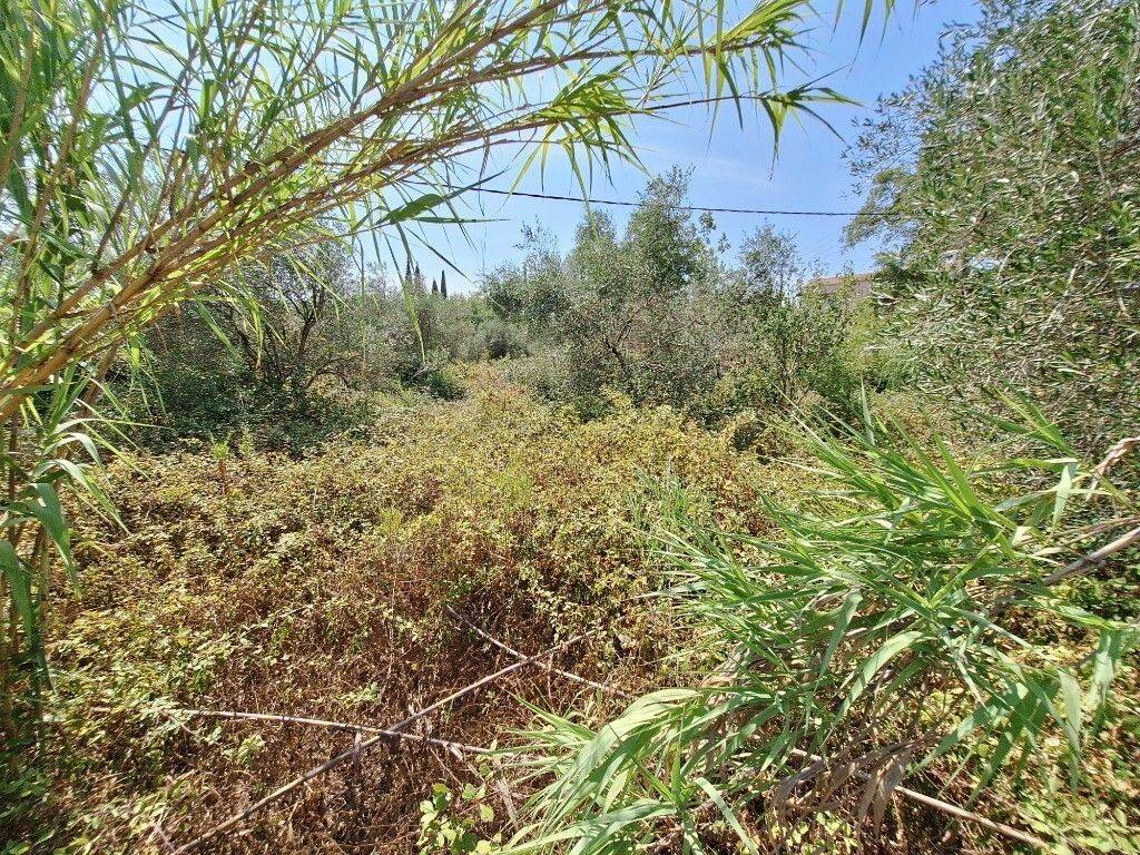 Plot - Grekodom 60620|900958