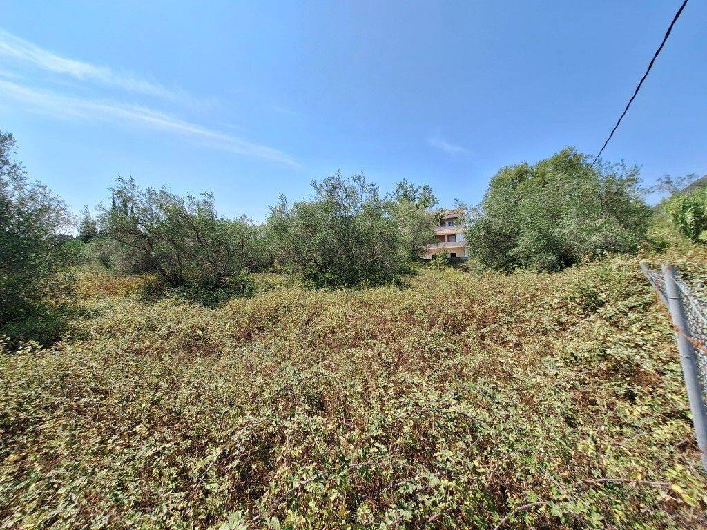 Plot - Grekodom 60620|900959