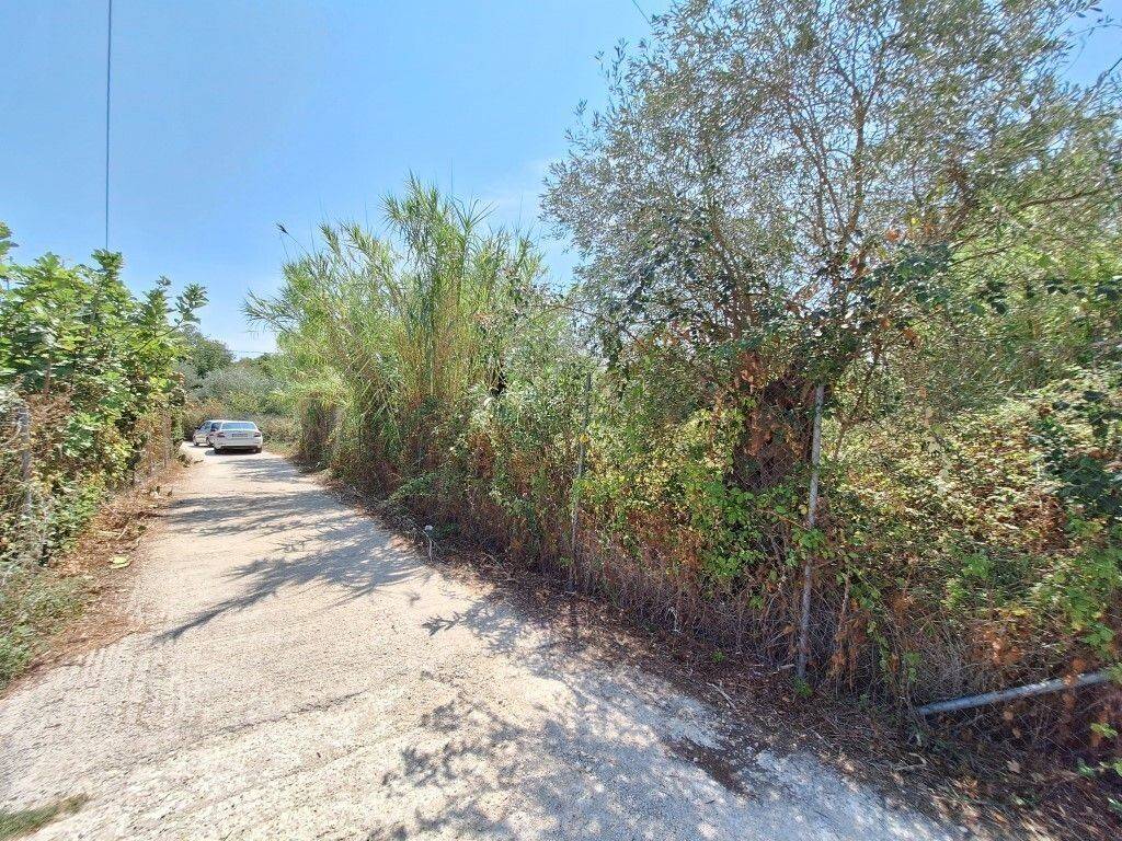 Plot - Grekodom 60620|900955