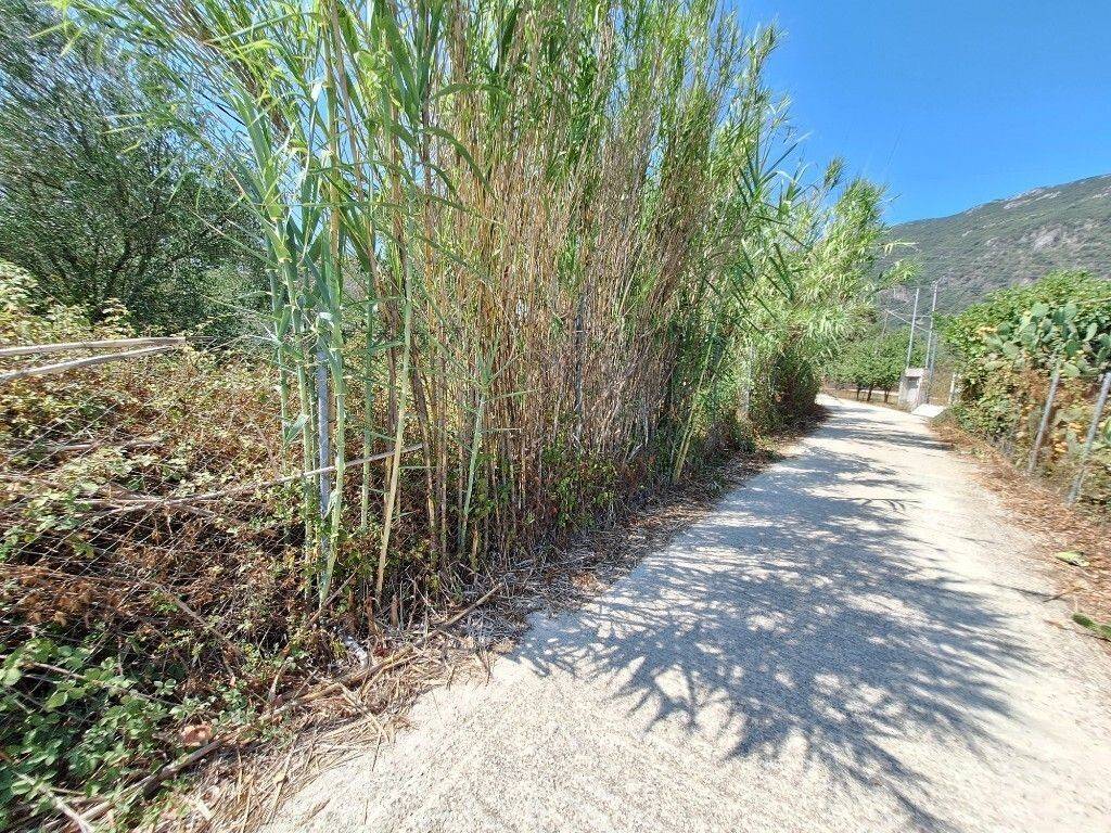 Plot - Grekodom 60620|900965