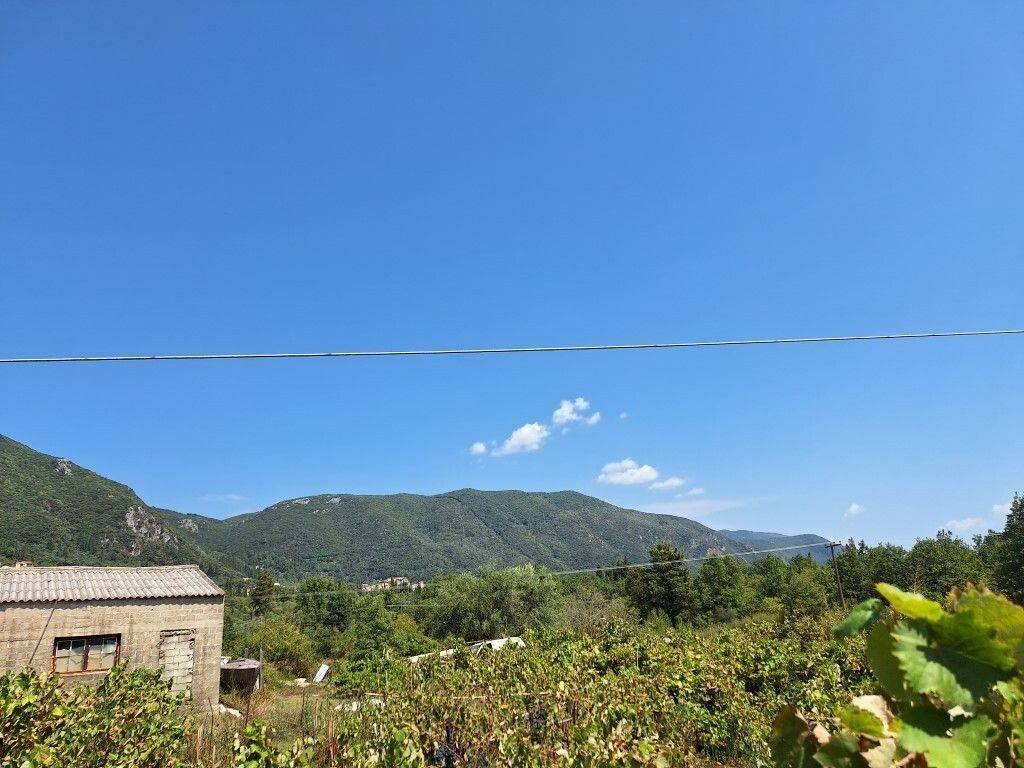 Plot - Grekodom 60620|900964