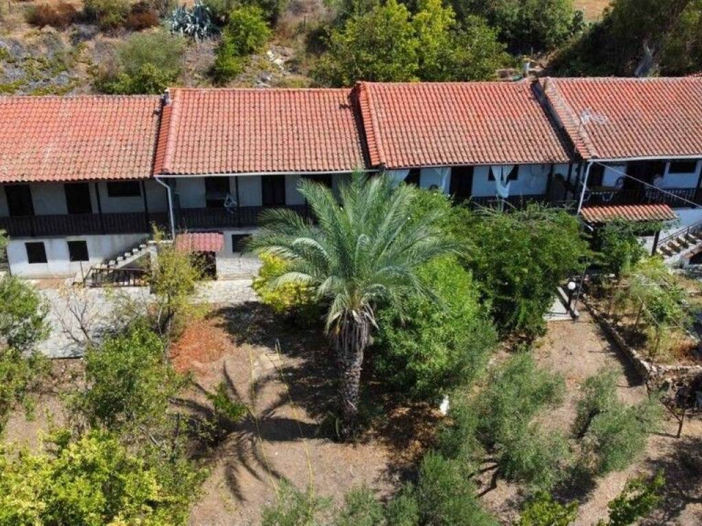 Apartment - Grekodom 60674|902356