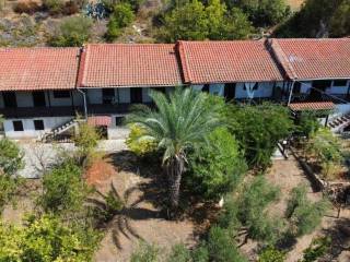 Apartment - Grekodom 60674|902356