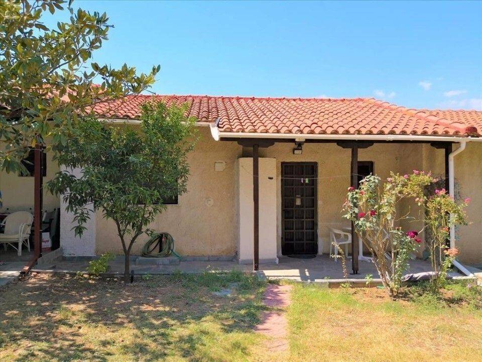 Apartment - Grekodom 60674|902351