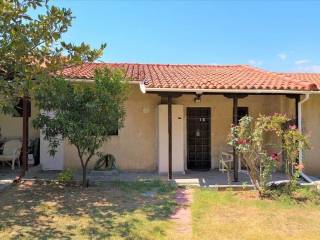 Apartment - Grekodom 60674|902351