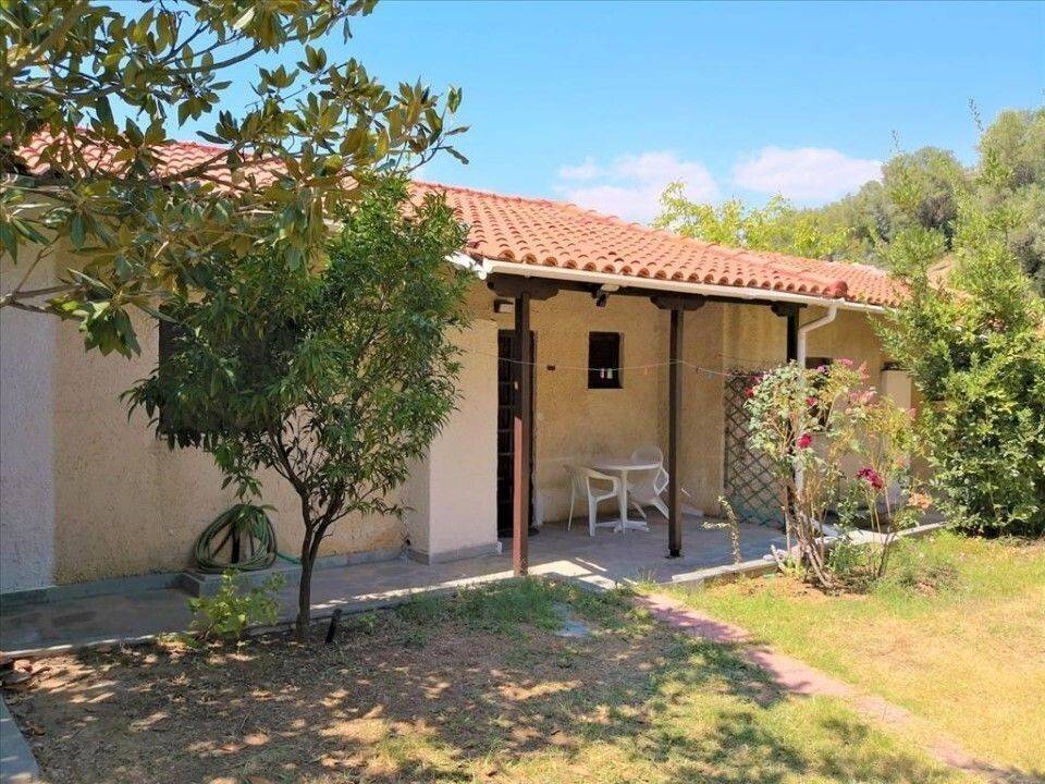 Apartment - Grekodom 60674|902348