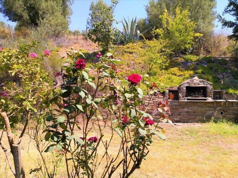 Apartment - Grekodom 60674|902347