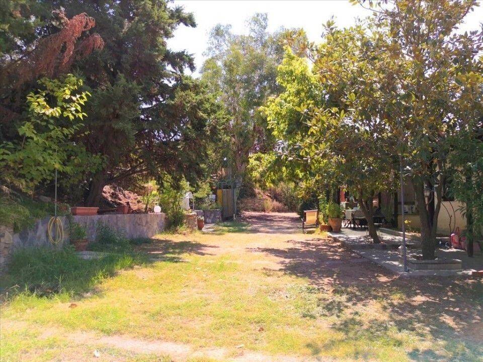 Apartment - Grekodom 60674|902350