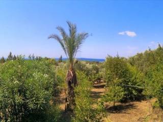 Apartment - Grekodom 60674|902334