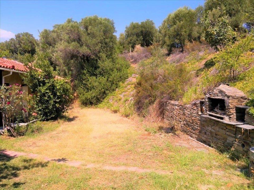 Apartment - Grekodom 60674|902352