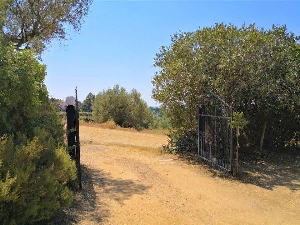 Apartment - Grekodom 60674|902353