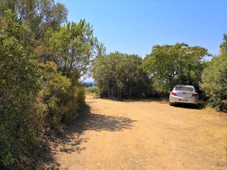 Apartment - Grekodom 60674|902354