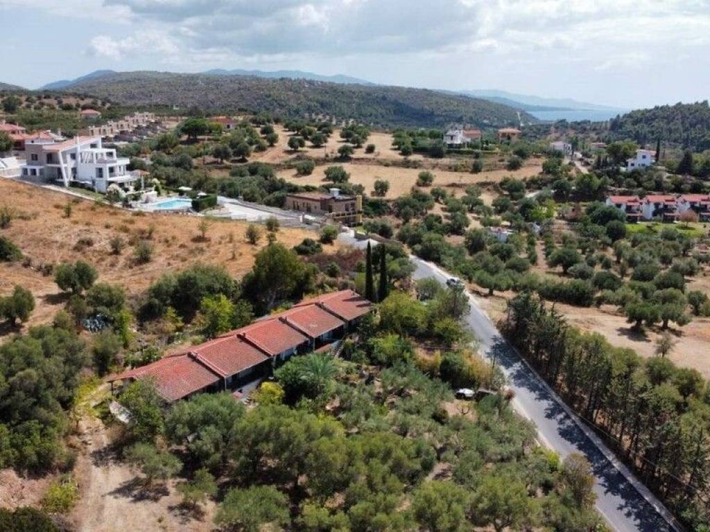 Apartment - Grekodom 60674|902355