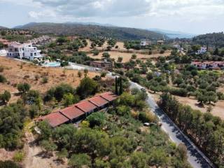 Apartment - Grekodom 60674|902355