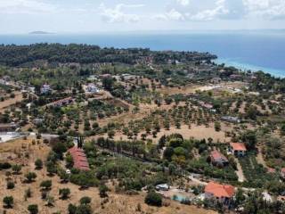 Apartment - Grekodom 60674|902357