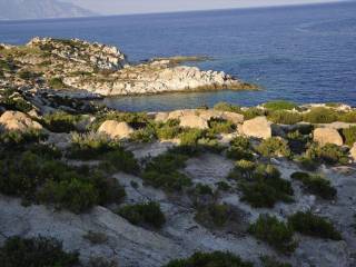 Plot - Grekodom 60728|903772