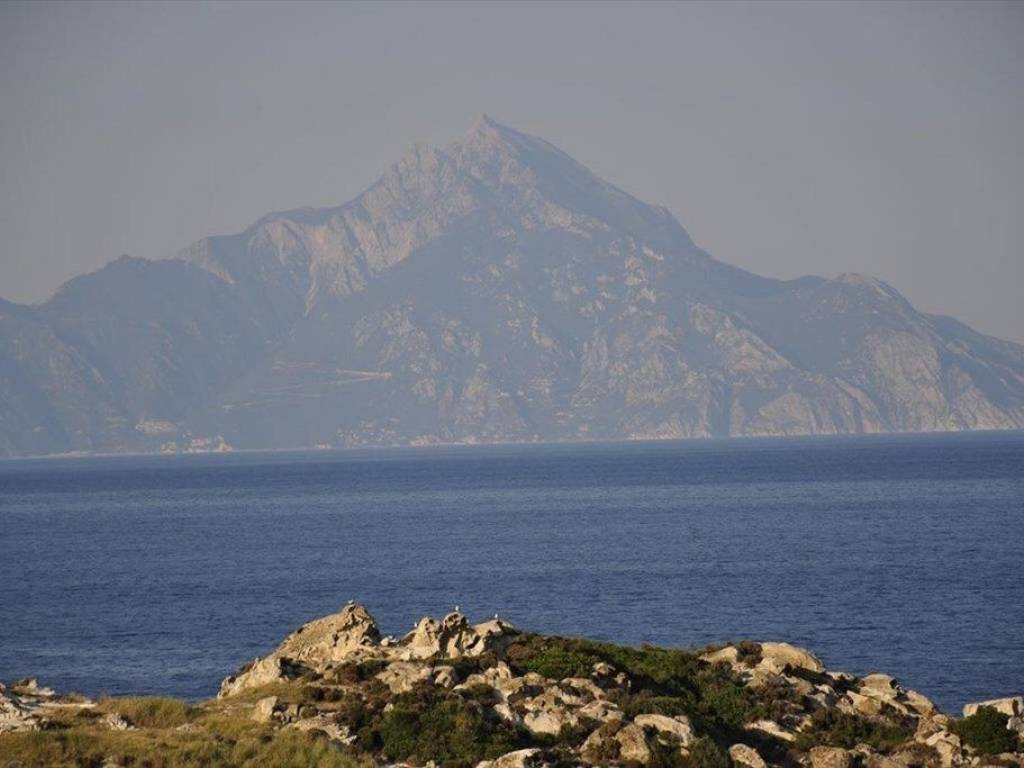 Plot - Grekodom 60728|903774