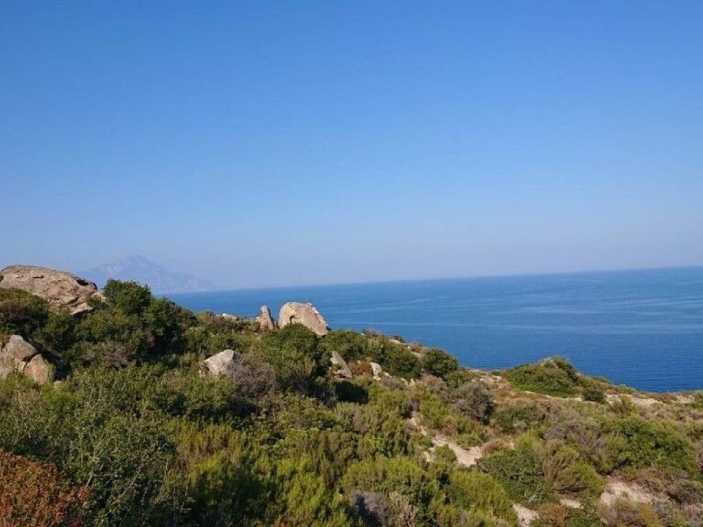 Plot - Grekodom 60728|903778