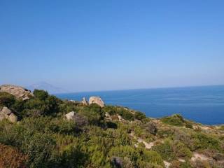 Plot - Grekodom 60728|903778