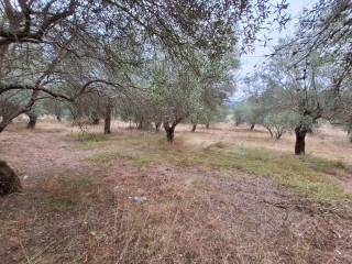 Plot - Grekodom 60789|905768