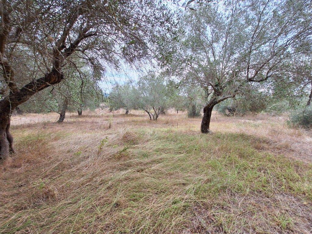 Plot - Grekodom 60789|905771