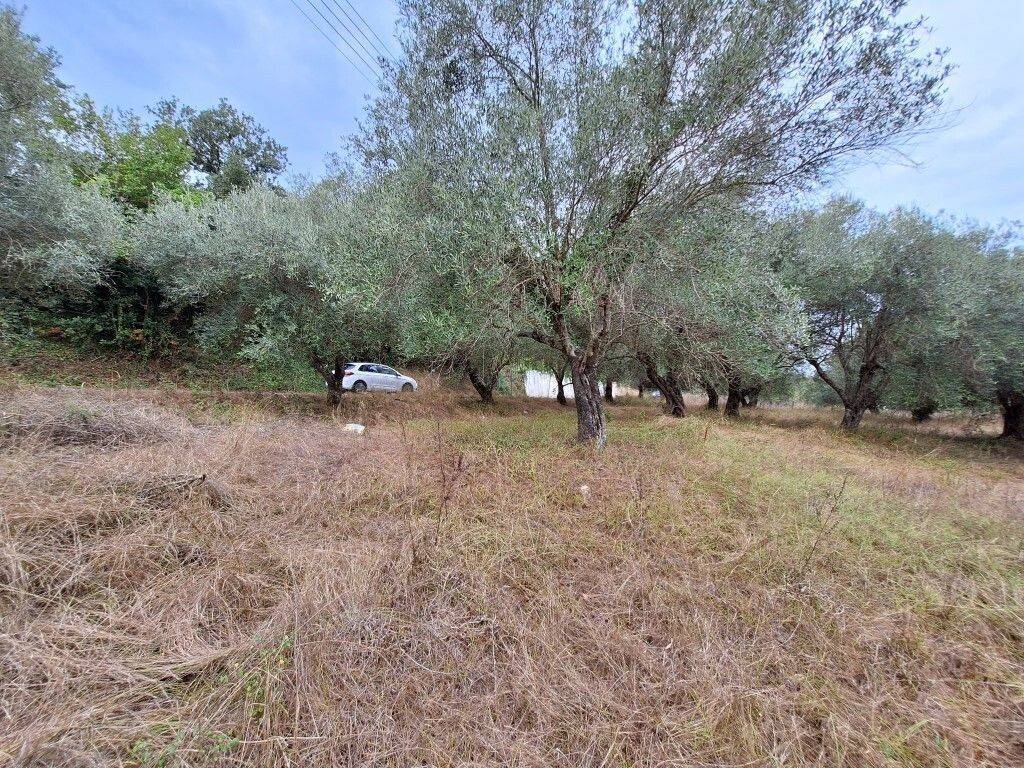 Plot - Grekodom 60789|905775