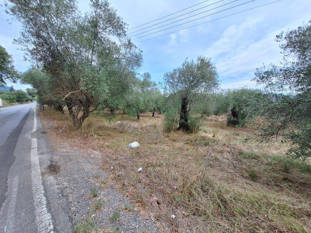 Plot - Grekodom 60789|905767