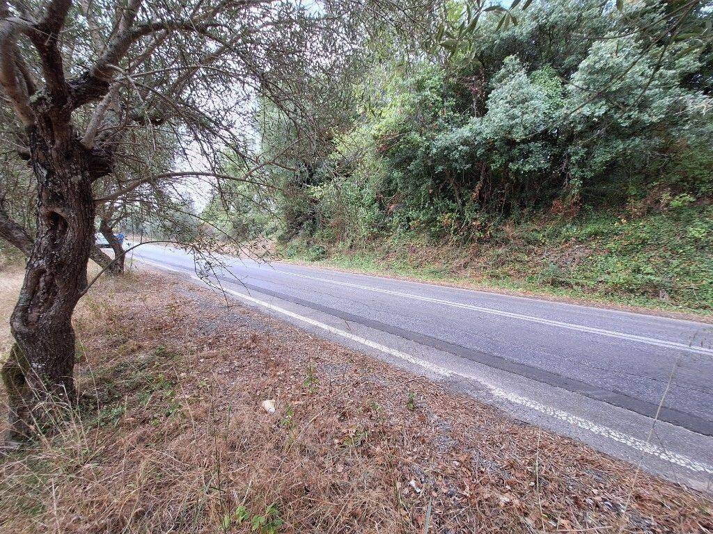 Plot - Grekodom 60789|905770