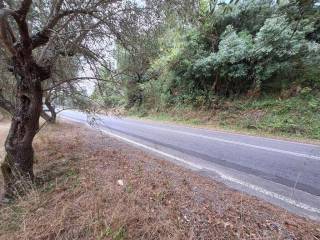 Plot - Grekodom 60789|905770