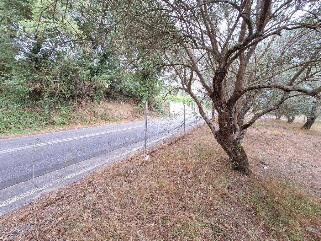 Plot - Grekodom 60789|905769