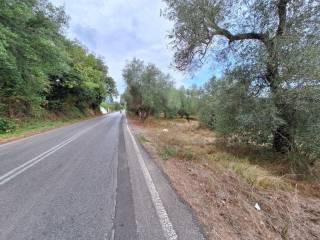 Plot - Grekodom 60789|905776