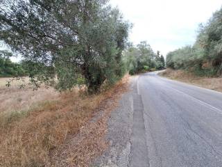 Plot - Grekodom 60789|905781