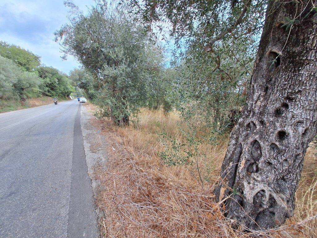 Plot - Grekodom 60789|905784