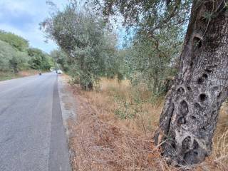 Plot - Grekodom 60789|905784