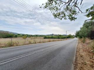 Plot - Grekodom 60787|905761