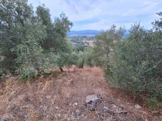 Plot - Grekodom 60783|905344