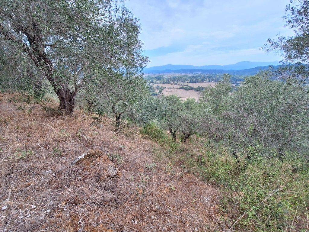 Plot - Grekodom 60783|905367