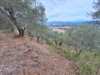 Plot - Grekodom 60783|905367