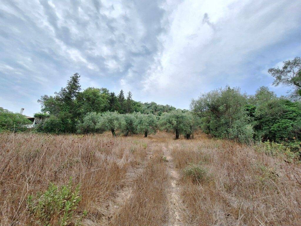 Plot - Grekodom 60783|905350