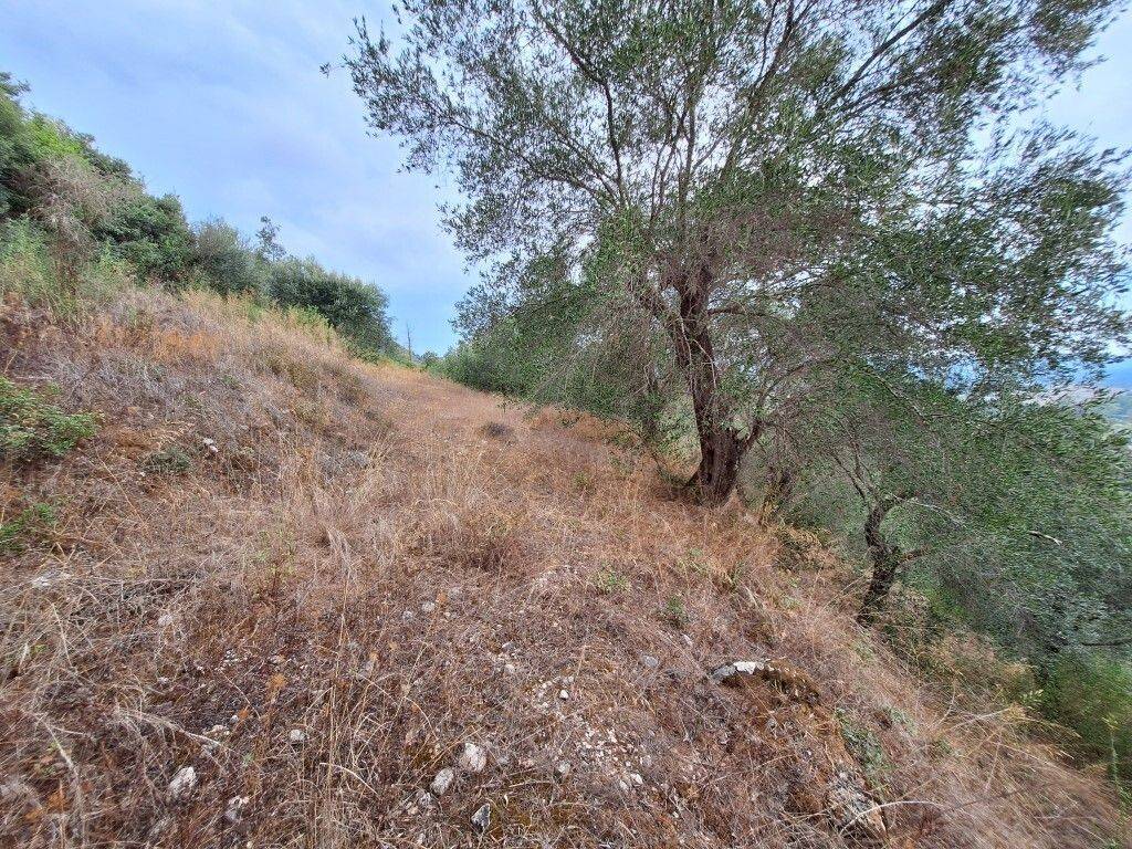 Plot - Grekodom 60783|905360