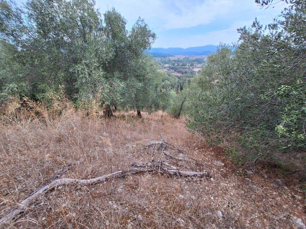 Plot - Grekodom 60783|905374