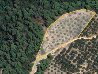 Plot - Grekodom 60907|908121