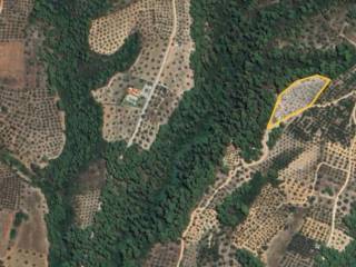 Plot - Grekodom 60907|908123