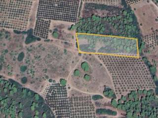 Plot - Grekodom 60903|908044