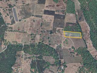 Plot - Grekodom 60903|908045