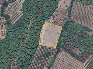 Plot - Grekodom 60901|908036