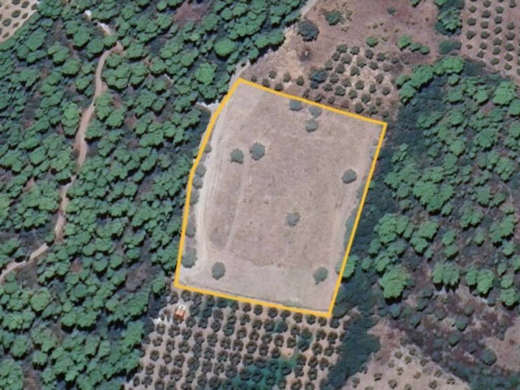 Plot - Grekodom 60901|908038