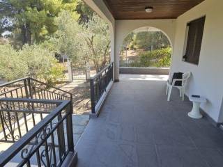 Detached - Grekodom 61016|913497